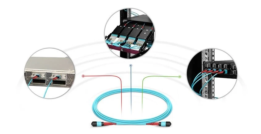 MTP  MPO optical fiber jumper