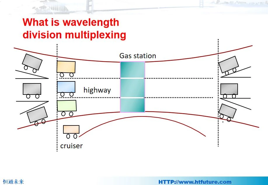 DWDM nes